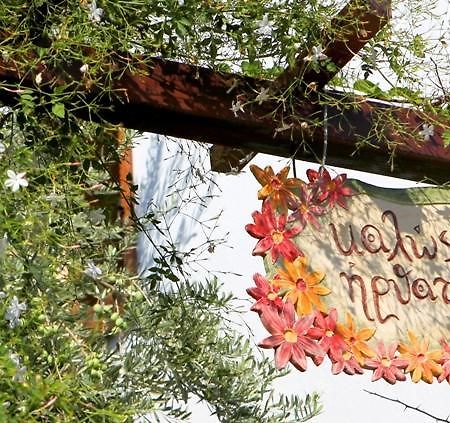 Hotel Dimoula Kalá Nerá Kültér fotó
