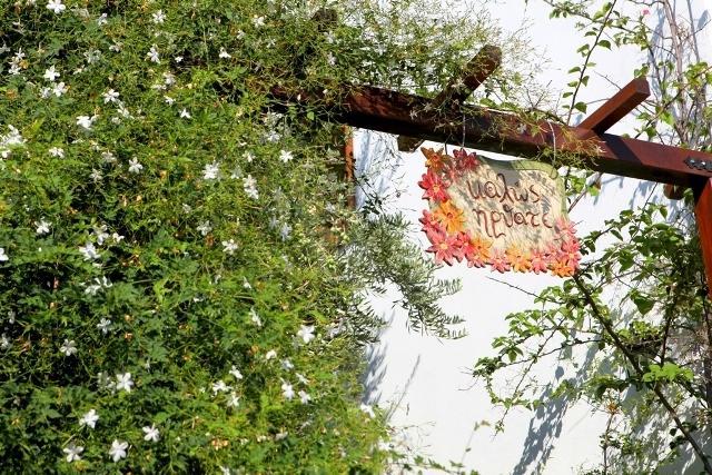 Hotel Dimoula Kalá Nerá Kültér fotó